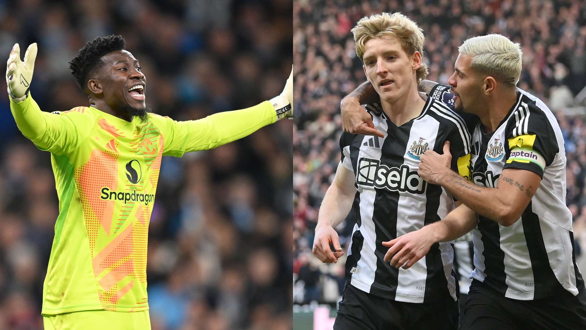 现有球员在 现有球员在